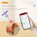 MP70G Водонепроницаемый GPS GSM 4G трекер отслеживания крупного скота охотничьей собаки или другого животного в режиме реального времени от MiCODUS за 3 595грн (код товара: MP70G)