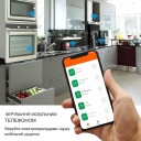 Дистанционная Wi-Fi розетка с функцией мониторинга и измерения потребляемой мощности до 20A додаток Tuya (Smart Life) от Qiachip за 345грн (код товара: S20P)